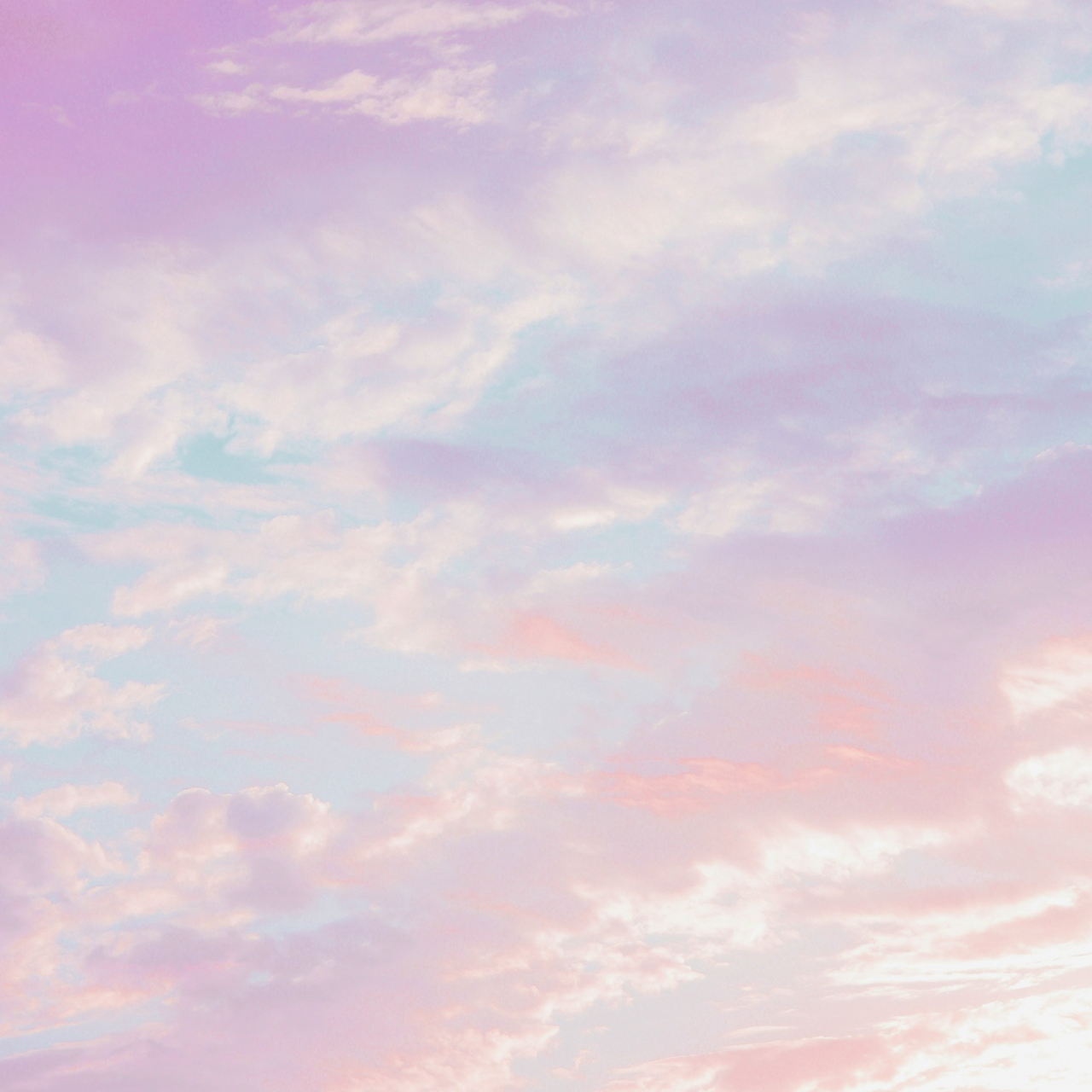 ホームページをリニューアルしました